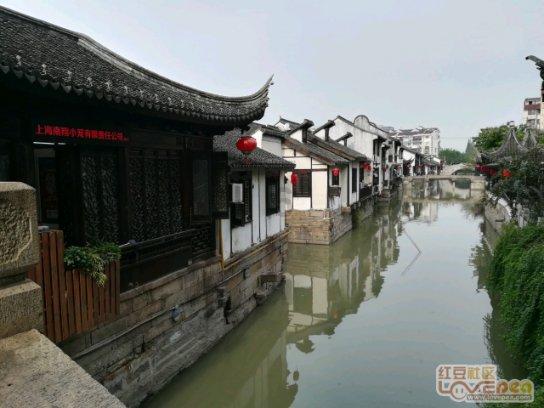 贪吃鼠吃豆豆